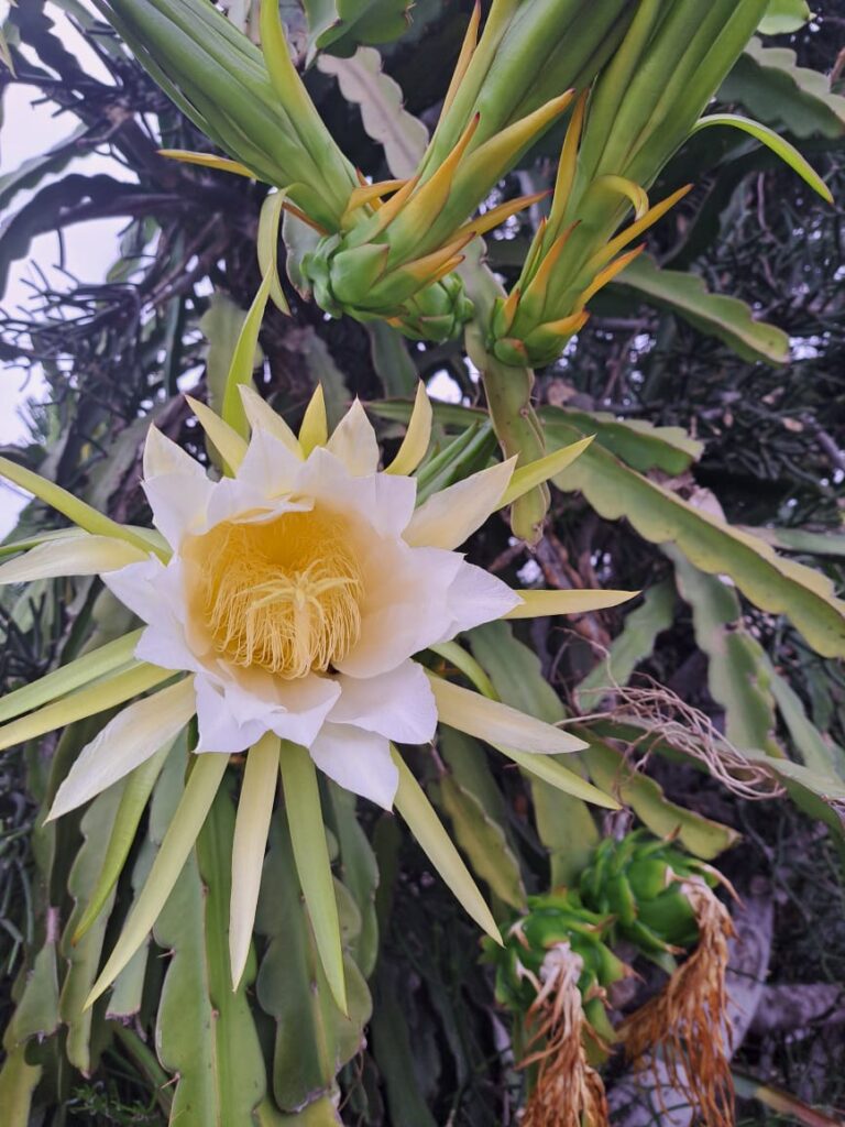 Between Personal Comfort and Values. 08/17/25. Chima Offurum.