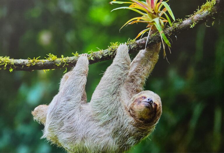 Saturday in Week Seventeen of the Ordinary Time. 08/02/25. Chima Offurum.